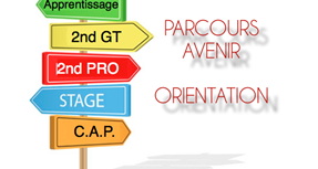 Parcours avenir